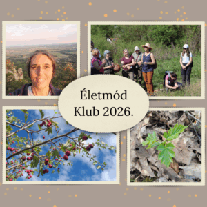 2026. Életmód klub tagsági díj - éves (1 tanfolyamot végzetteknek)