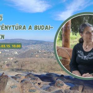 2026.03.15. Ismerkedő gyógynövénytúra a Budai-hegyekben