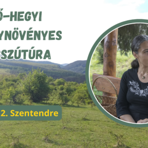 2026.04.12. Kő-hegyi hosszútúra