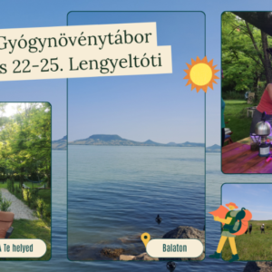 Pünkösdi gyógynövénytábor - helyfoglaló