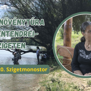 2026.06.20. Gyógynövénytúra a Szentendrei-szigeten