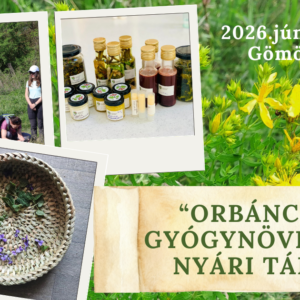 2026.06. "Orbáncfű" gyógynövényes nyári tábor, Gömörszőlős - helyfoglaló