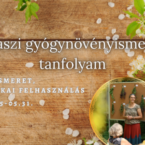 2026.04. Tavaszi gyógynövényismereti tanfolyam - klubból