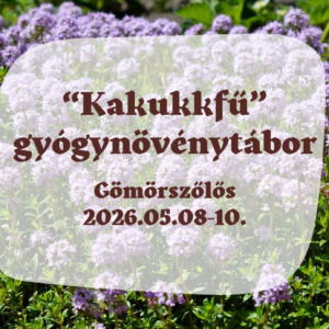 2026.05. "Kakukkfű" tábor, Gömörszőlős - helyfoglaló