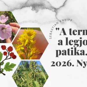 Életmód klub tagság: Nyár (június, július, augusztus)