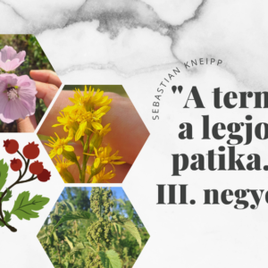 Életmód klub tagság: Negyedév (július, augusztus, szeptember)