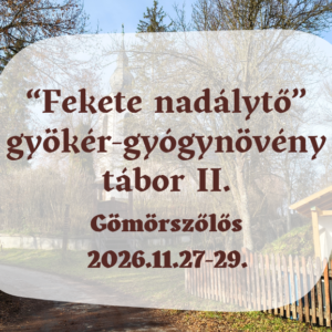 2026. Fekete nadálytő tábor II. - helyfoglaló