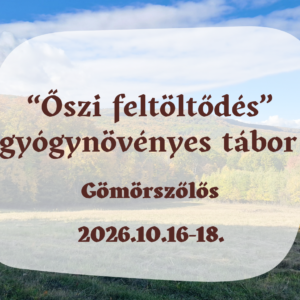 2026.10. Gyógynövénytábor - helyfoglaló