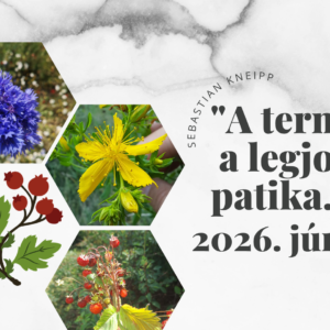 Életmód klub - 2026. június