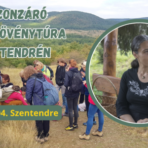 2026.10.04. Szezonzáró gyógynövénytúra Szentendrén