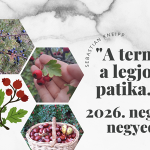 2026. Életmód Klub tagság: negyedik negyedév