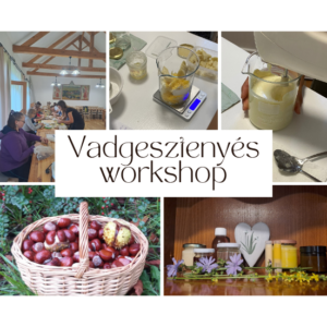 Vadgesztenyés workshop I. - október 23. 10-13 óra
